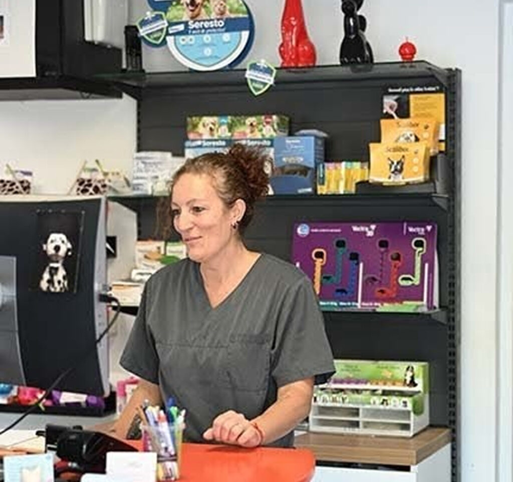 accueil veterinaire à la farlède