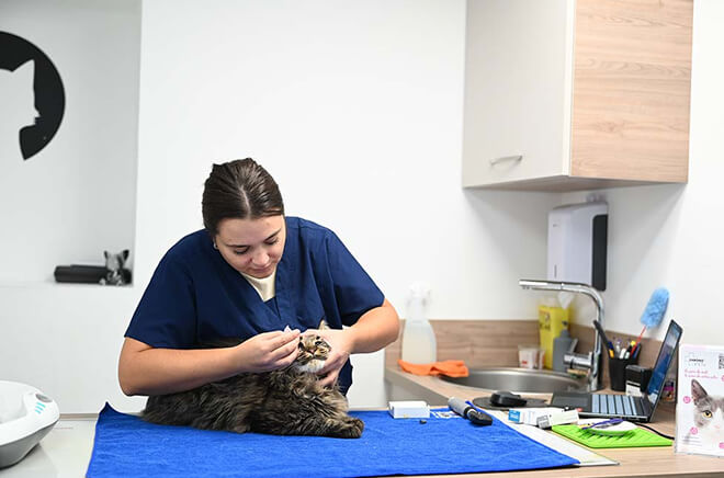 Services Médecine générale