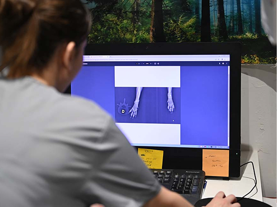 Veterinary Services in La Farlède – Clinique VetPlus
